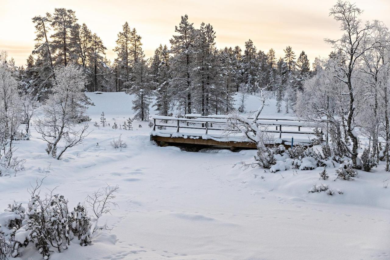 Polar Aurora Cabins Сариселка Екстериор снимка
